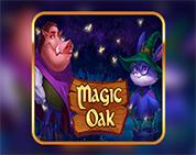 Magic Oak Magic Oak